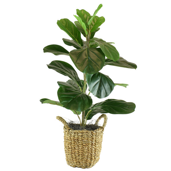 Cheap fake store plants